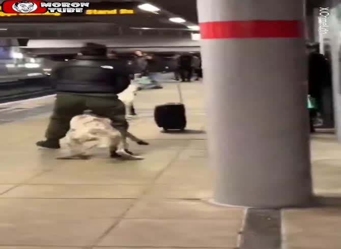 Video :A man is attacked by two large bully dogs in the metro (Warning - disturbing)